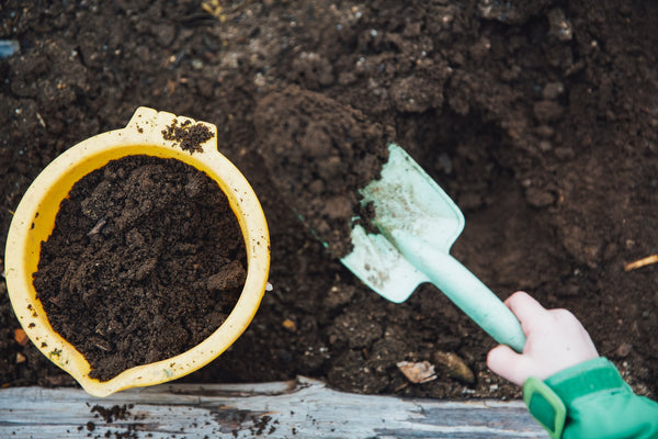How to make your own garden compost