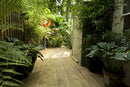 Beautiful decking boards, lush planting