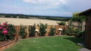 Somerlap feather edge fence panels