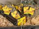 crates of bee bombs at Somerlap