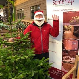 Santa selling Xmas trees