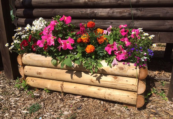 Flowers for planters