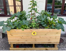 Decking Veggie Planter
