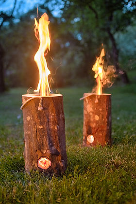 Kiln-dried Garden fire log