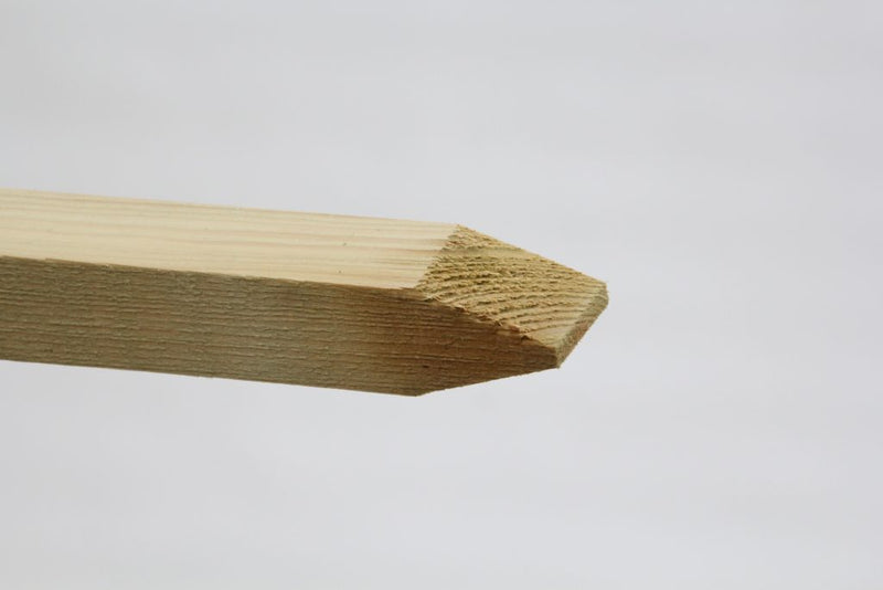 pointed wooden pegs