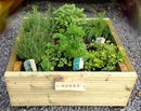 Herb planter